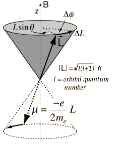 ../_images/larmor.png